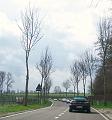 Sfeerbeelden (11)